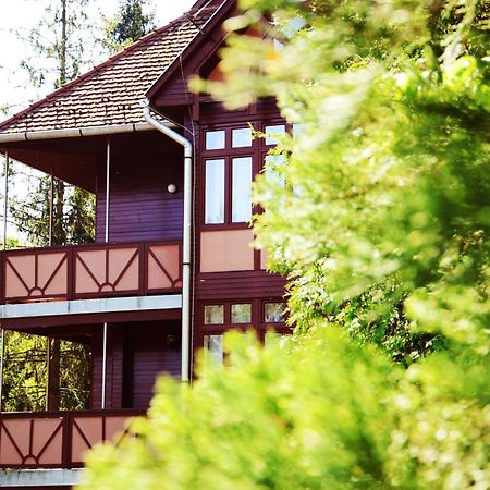 Ezuestfenyo Hotel Telkibánya Exterior foto
