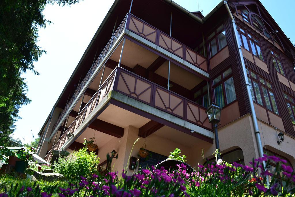 Ezuestfenyo Hotel Telkibánya Exterior foto