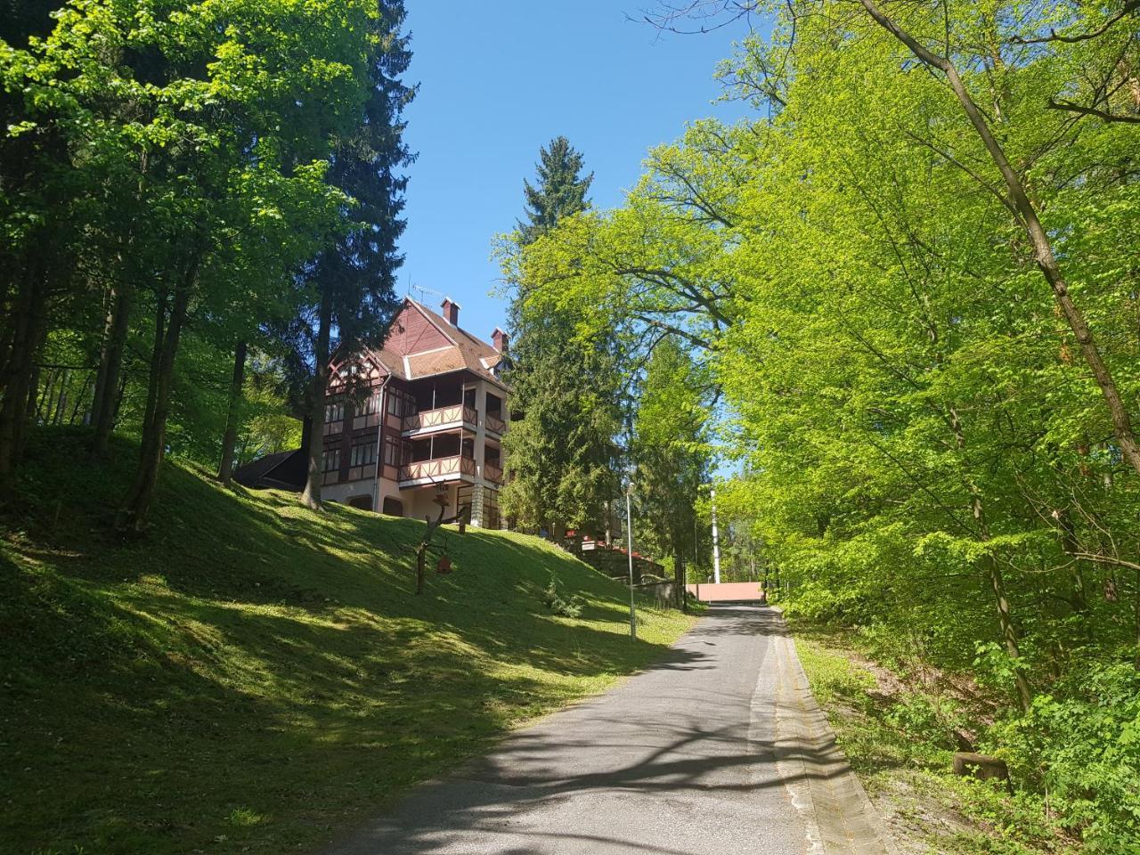 Ezuestfenyo Hotel Telkibánya Exterior foto